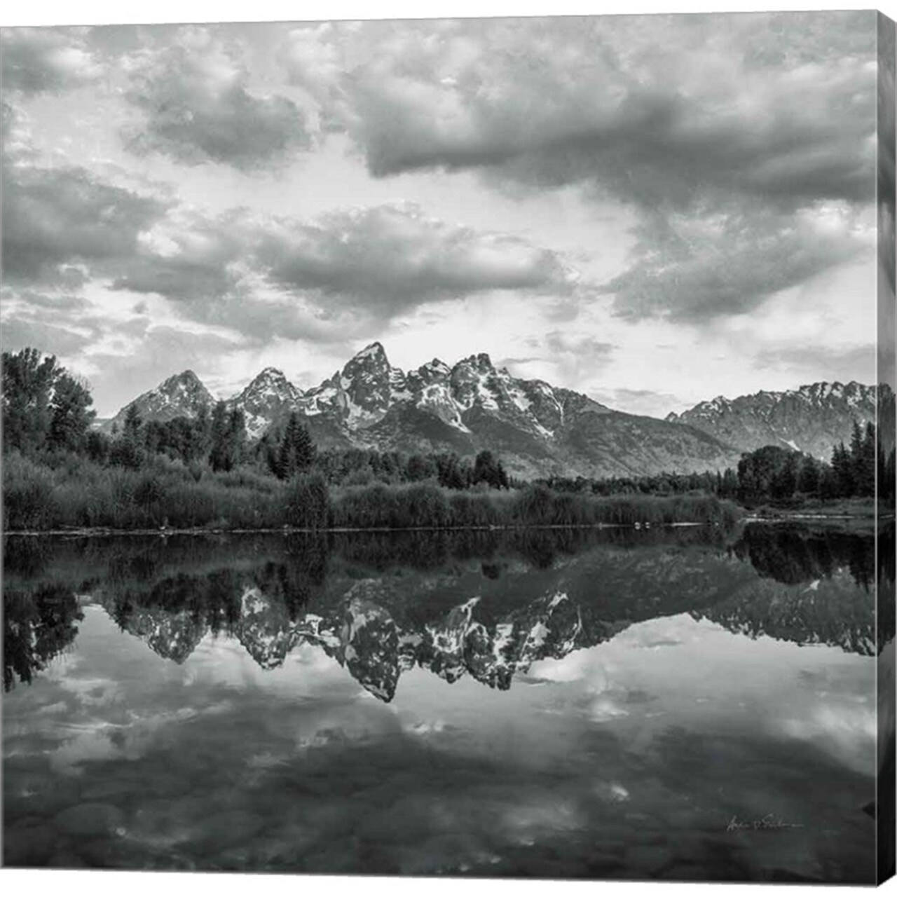 Scenic Landscape II BW by Andre Eichman - 24x24 Canvas Art Print